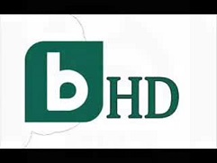 Официално лого на телевизионния канал bTV HD