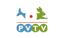 pvtv official logo