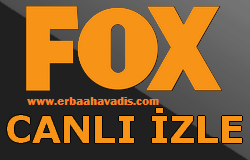 turkish fox tv logo