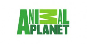 Лого на Animal Planet